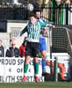 Blyth Spartans V Chester-35