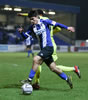 Chester V Brackley-53