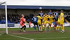 Chester V Hereford -6