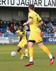 Guiseley V Chester-37