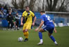 LgCurzon Ashton V Chester-23