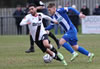 LgDarlington V Chester-20