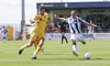Chester V Halifax-9
