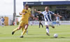 Chester V Halifax-9