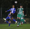 Farsley Celtic V Chester-41