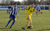 Frickley-17