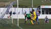 Frickley-21