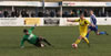 Frickley-27