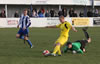 Frickley-28