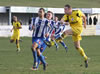 Frickley-62