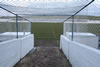 Frickley-70