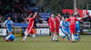 WELLING CFC-25