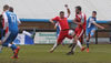 WELLING CFC-4