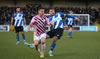 Chester V Curzon-13