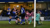 Chester V Curzon-27