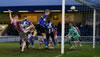 Chester V Curzon-29