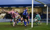 Chester V Curzon-30