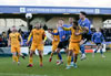 Chester V Rushall Olympic-31