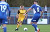 Curzon Ashton V Chester-32